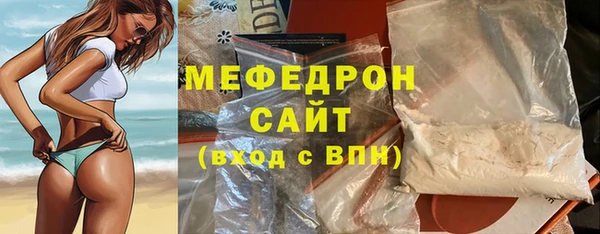 шишки Няндома
