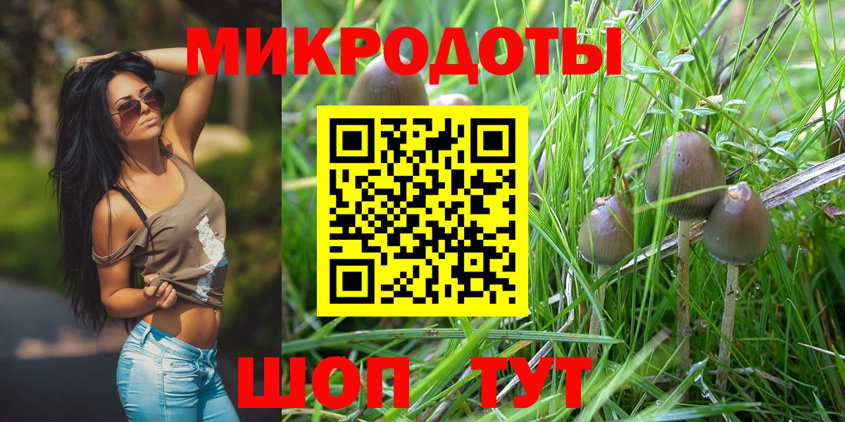 Городец  Псилоцибиновые грибы мухоморы  магазин продажи наркотиков  Вход с VPN 