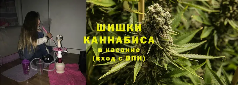 где купить   ОМГ ОМГ как зайти  Шишки марихуана SATIVA & INDICA  Городец 