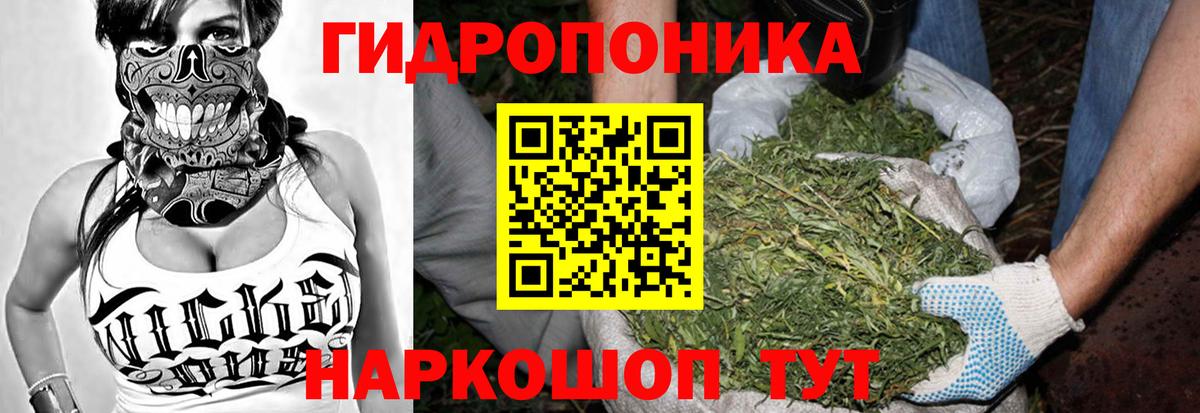 Каннабис сатива  Бошки марихуана Bruce Banner  Конопля планчик  МАРИХУАНА SATIVA & INDICA  Городец 